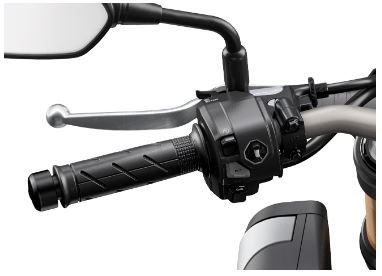 Heated Grips