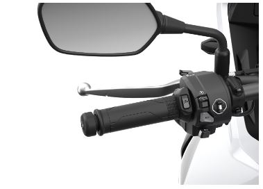 Heated Grips