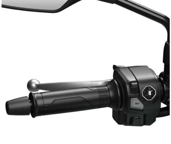 Heated Grips