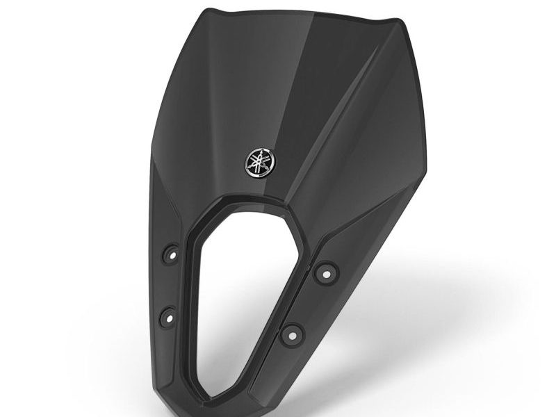 Smoked Visor